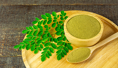 Moringa Leaves Drying Problems - How Bry-Air Dehumidifiers Solves The Problem of MAUSWAG AGRIBUSINESS INC. (MAI), PHILIPPINES